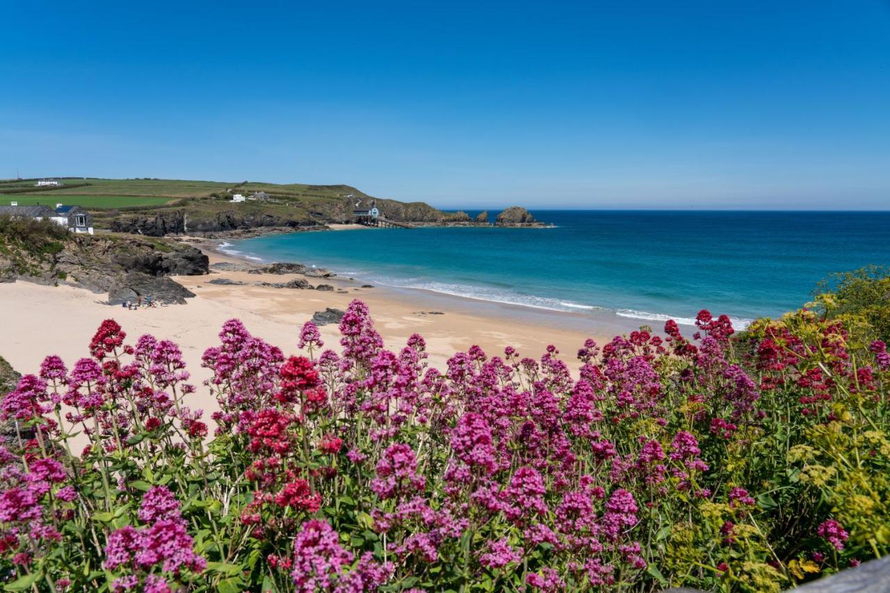 Tor View Padstow Exterior foto